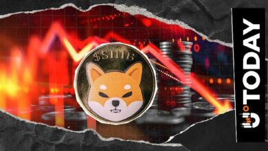 -19,685,880,237 شيبا إنو (SHIB) تحترق في 24 ساعة: التدفقات تصبح خسائر فادحة