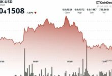 بونك يستعيد قوته بعد اختراق مستوى الدعم: المتداولون يتطلعون إلى ارتداد بسعر 0.000015 دولار