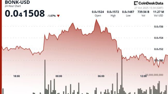 بونك يستعيد قوته بعد اختراق مستوى الدعم: المتداولون يتطلعون إلى ارتداد بسعر 0.000015 دولار