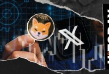 مطور شيبا إنو يكسر صمته على X ويطرح رؤية حول اللامركزية