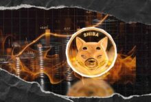 انفجار في حرق Shiba Inu بنسبة 2,033%: إتلاف 5.7 مليون SHIB