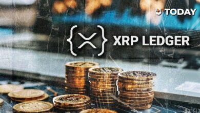 شبكة XRP تتجه نحو معلم 100 مليون محفظة: العد التنازلي بدأ