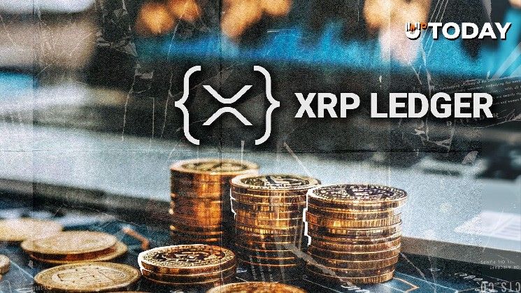 شبكة XRP تتجه نحو معلم 100 مليون محفظة: العد التنازلي بدأ