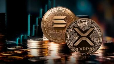 بيانات استثنائية لـ XRP وSolana (SOL)! رقم قياسي تاريخي بتجاوز 3 مليارات دولار!