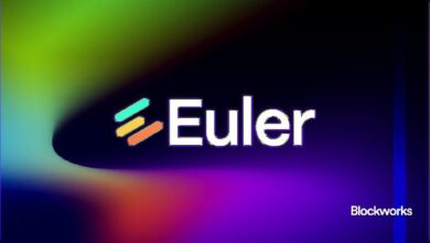 يعلن "يولر" عن إطلاق منتج دولار اصطناعي قريبًا