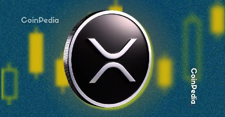 مشروع إيفرنورث لريبل قد يُطلق شرارة الطفرة المؤسسية القادمة لـ XRP