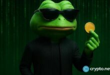 سعر عملة بيبي يتشكل في نمط خطر مع تسارع مبيعات الحيتان