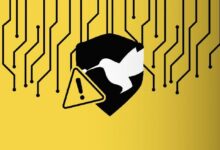 داخل تداعيات تدقيق PeckShield لشركة Synnax Labs