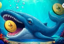 حيتان الإيثيريوم تعيد ترسيخ وجودها مع تراجع المعروض في البورصات واختبار السعر مجدداً لمستوى 4000 دولار