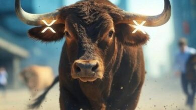 رئيس الاستثمارات في بيتوايز يتوقع تحقيق XRP رقمًا قياسيًا غير مسبوق – "جيش XRP" يترقب