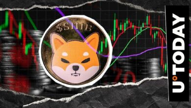 شيبا إنو على حافة حذف صفر من سعره: هل سيحدث ذلك؟