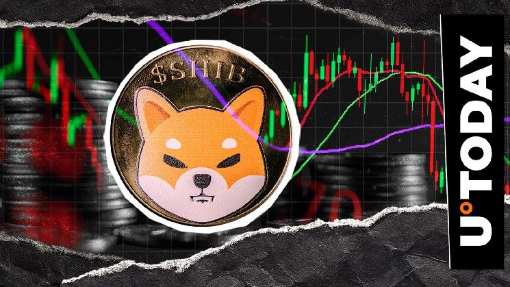 شيبا إنو على حافة حذف صفر من سعره: هل سيحدث ذلك؟