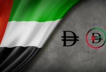 صندوق النقد الدولي يشيد بإطار عمل "الدرهم الرقمي" الإماراتي