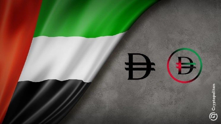 صندوق النقد الدولي يشيد بإطار عمل "الدرهم الرقمي" الإماراتي