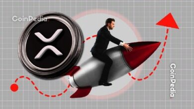 "برايل" تنطلق على شبكة إكس آر بي ليدجر: دفعة قوية للعملات المستقرة ومجال المدفوعات