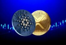 موافقة صناديق XRP وكاردانو المتداولة لم تصدر بعد وهيئة الأوراق المالية تلتزم الصمت: ما التالي؟