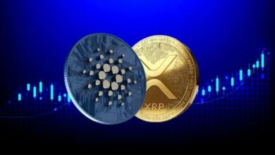 موافقة صناديق XRP وكاردانو المتداولة لم تصدر بعد وهيئة الأوراق المالية تلتزم الصمت: ما التالي؟