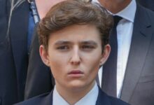 هل كان الحوت الذي شورت قبل إعلان ترامب عن التعريفات هو ابنه بارون؟ كل ما نعرفه