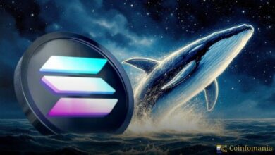 حوت يشترى 47 مليون دولار من عملة سولانا ويعزز ثقة السوق