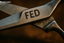 كالشي وبوليماركت وسي إم إي يتفقون: الاحتياطي الفيدرالي على وشك خفض الفائدة