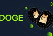 الهدف المرحلي لسعر الدوجكوين يتجاوز ٢ دولار.. والانهيار السوقي لم يؤثر عليه