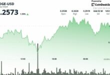 دوج كوين يثبت فوق 0.251 دولار والمتداولون يترقبون اختراق 0.264 دولار