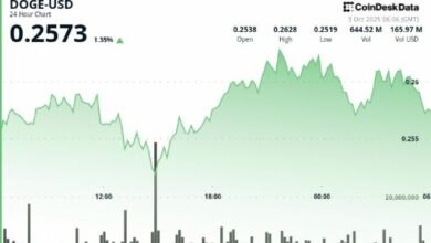 دوج كوين يثبت فوق 0.251 دولار والمتداولون يترقبون اختراق 0.264 دولار