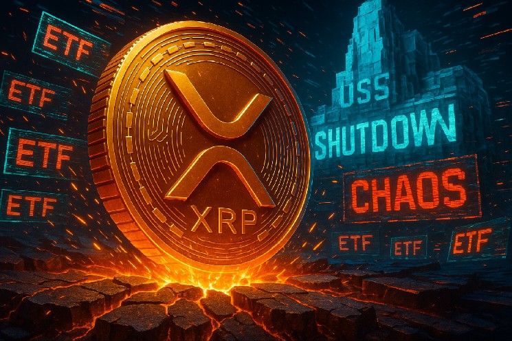 فوضى صناديق XRP الاستثمارية تندلع بسبب تجميد هيئة الأوراق المالية للقرارات
