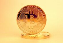 توقعات ARK Invest: قوة بيتكوين على السلسلة تمهد الطريق لمكاسب قوية في الربع الأخير