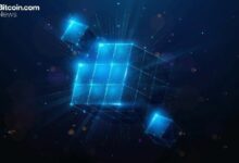 مؤسس XEC يوضح خطة تحقيق الإنهاء الفوري باستخدام آلية "ما قبل الإجماع" من Avalanche