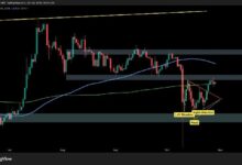 تحليل سعر XRP: هل يستعد الريبل للصعود فوق 3 دولارات أم الهبوط إلى 2 دولار هذا الأسبوع؟