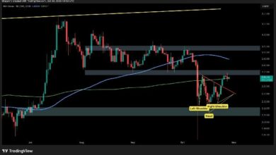 تحليل سعر XRP: هل يستعد الريبل للصعود فوق 3 دولارات أم الهبوط إلى 2 دولار هذا الأسبوع؟