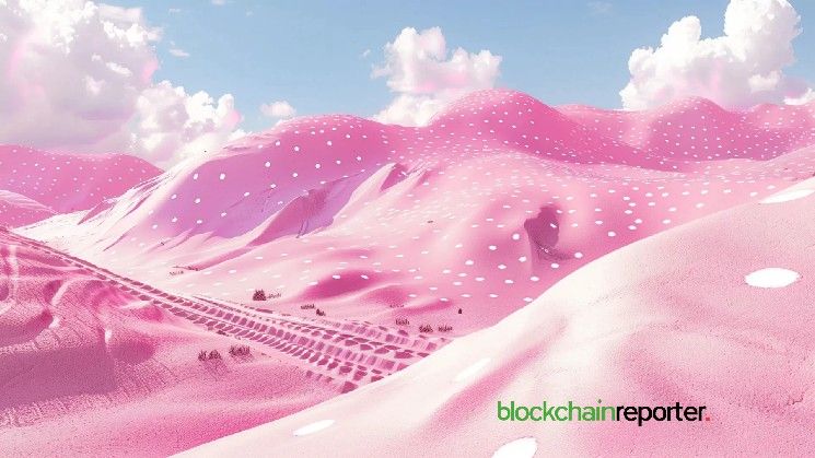 شبكة PEAK تسجل نموًا بنسبة 500% في الربع الثالث مع توسع كبير في شبكة بولكادوت