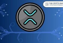 مؤيد للإيثيريوم يكشف عن المستوى الذي قد يصل إليه سعر XRP بنهاية 2025