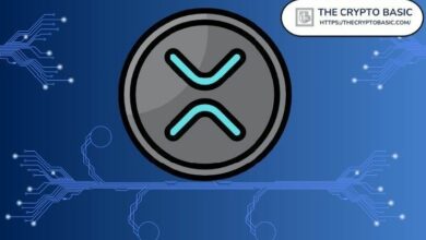 مؤيد للإيثيريوم يكشف عن المستوى الذي قد يصل إليه سعر XRP بنهاية 2025