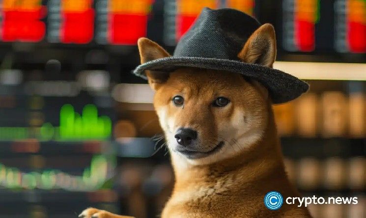 هل يستطيع سعر Dogwifhat الصمود عند 0.48 دولار؟ تراجع الحجم التداولي ينذر بمخاطر هبوط محتملة