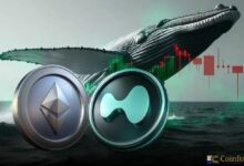 تاجر "حوت" يفتح صفقة بيع بــ 1.24 مليون دولار على الإيثيريوم في منصة Hyperliquid مع مستوى تصفية عند 7,964.80 دولار