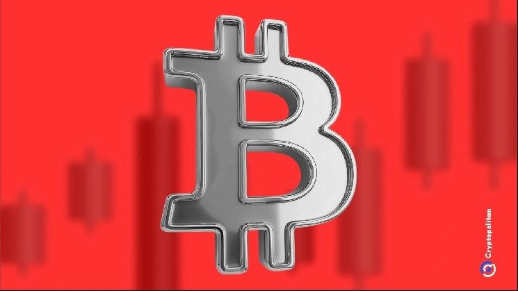 صعود البيتكوين يتسبب في تصفية 268 مليون دولار من المراكز القصيرة