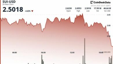 انخفاض سعر SUI بنسبة 3.4% مع اختراق دعم 2.60 دولار amid ارتفاع حجم التداول 180%