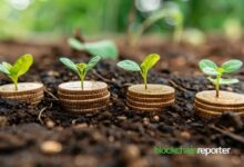 ٥ أمور يجب معرفتها قبل الاستثمار في العملات الرقمية لأول مرة