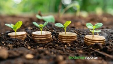 ٥ أمور يجب معرفتها قبل الاستثمار في العملات الرقمية لأول مرة