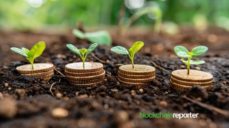 ٥ أمور يجب معرفتها قبل الاستثمار في العملات الرقمية لأول مرة