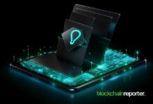 رادسايفر تشرع في شراكة استراتيجية مع شبكة REI لبناء مستقبل آمن وخالٍ من الرسوم لـ Web3