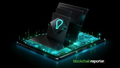 رادسايفر تشرع في شراكة استراتيجية مع شبكة REI لبناء مستقبل آمن وخالٍ من الرسوم لـ Web3