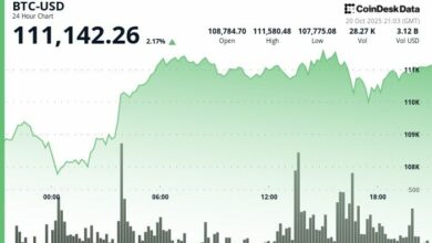 انتعاشة البيتكوين تفقد الزخم بينما يتصدر الريبل والزيكاش المكاسب: آركا تؤكد أن الارتفاع ليس وهميًا