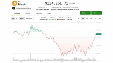 البيتكوين مستقرة.. لكن "بيتفينيكس" تحذر من مخاطر هبوطية مع اقتراب إغلاق الحكومة الأمريكية