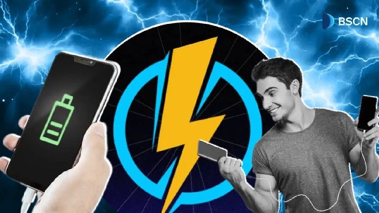 مشروع ألفا الجديد من بينانس: ما هو Piggycell؟