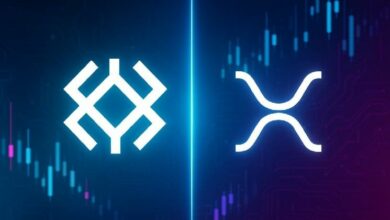 ريبل و Immunefi تطلقان "Attackathon" لحماية بروتوكول الإقراض على XRPL