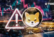 إنذار عاجل لـ Shiba Inu: مواقع SHIB المزيفة تستهدف المحافظ.. إليك التفاصيل