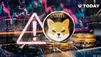 إنذار عاجل لـ Shiba Inu: مواقع SHIB المزيفة تستهدف المحافظ.. إليك التفاصيل
